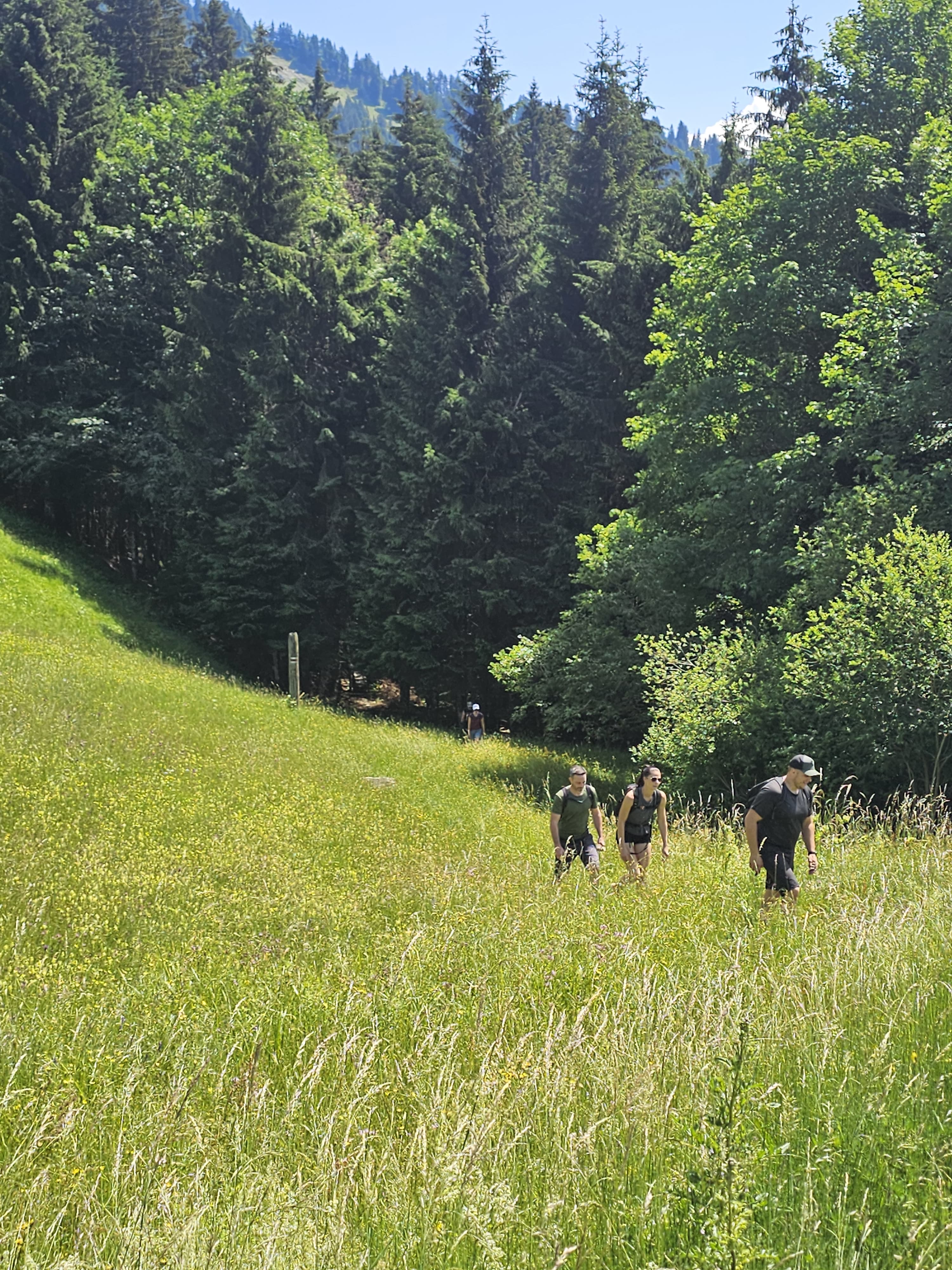 /user/pages/02.berichte/gelungener-wandertag-des-ksv-goetzis/732abe99-cd81-4283-8b6d-57967ce05920.JPG