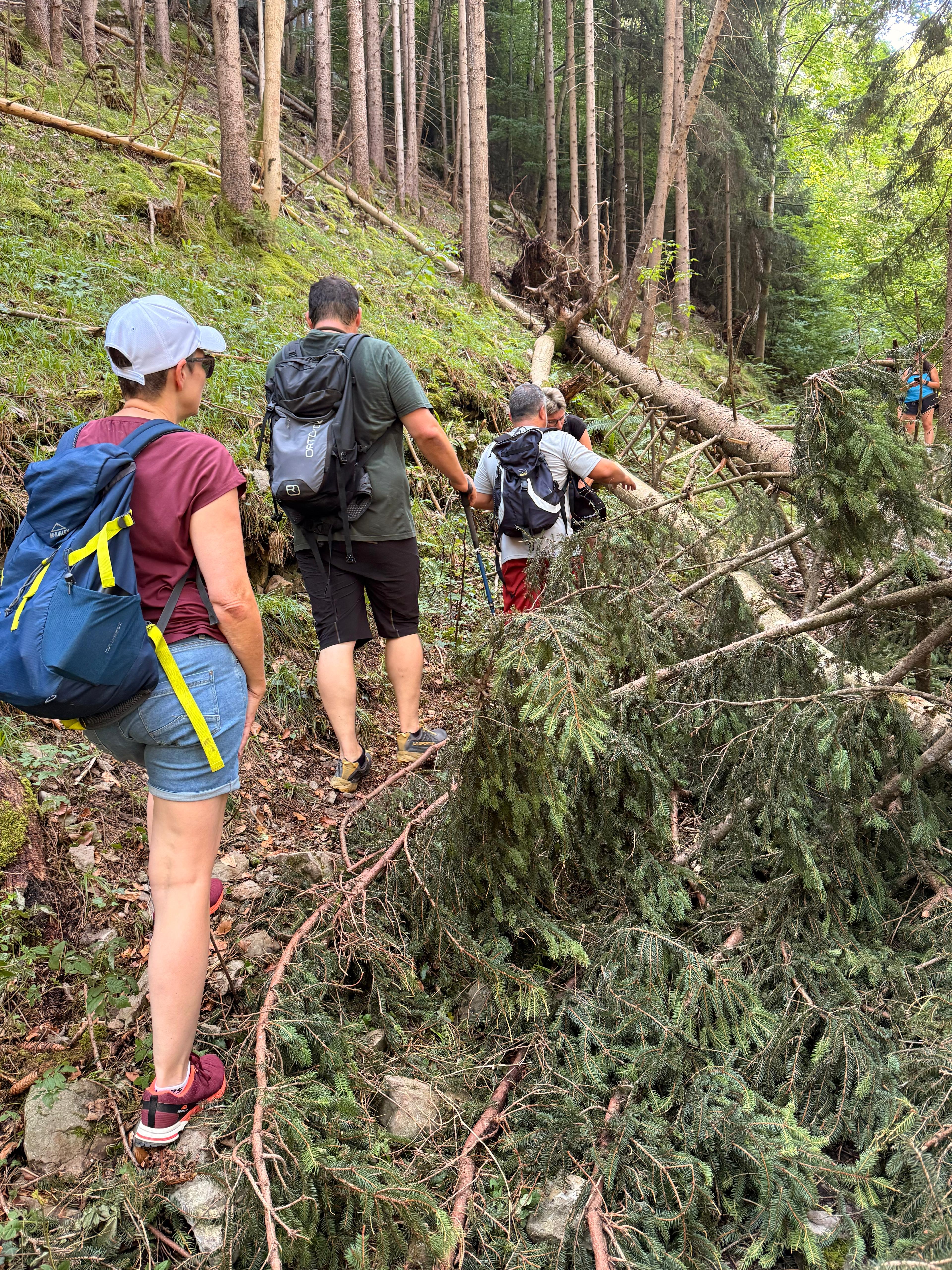 /user/pages/02.berichte/gelungener-wandertag-des-ksv-goetzis/a270ec31-0cbf-4986-9b39-fad827fd4e38.JPG